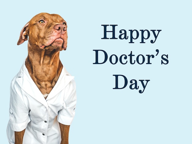 Happy doctor's day liebenswerter hübscher welpe nahaufnahme