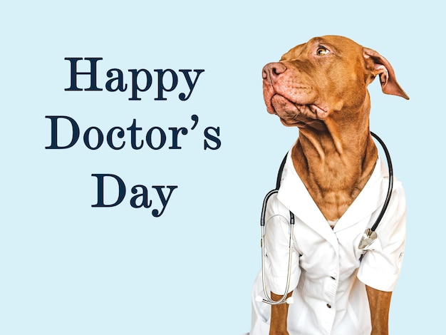 Happy Doctor's Day Liebenswerter hübscher Welpe Nahaufnahme