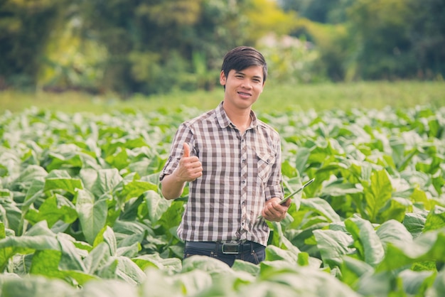 Happy Farmers usando tableta digital en el cultivo de tabaco.