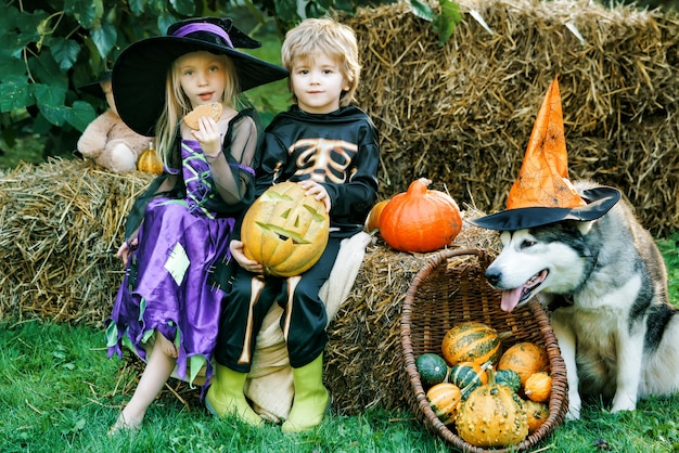 Happy Halloween, niedliche Kinderkleinkindmädchen und -junge, die draußen spielen.