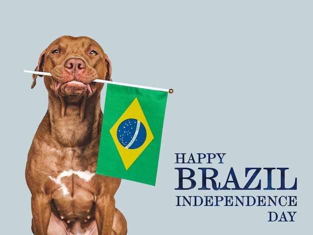 Happy Independence Day Liebenswerter Hund und brasilianische Flagge