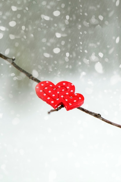 Happy Valentinstag Grußkarte oder Banner rote Herzen auf einem Ast eines schneebedeckten Baumes im Winter ...