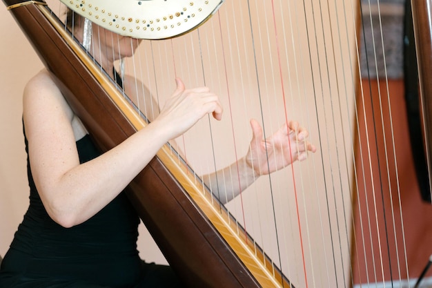 Harfist mittleren Alters, der eine traditionelle Harfe spielt