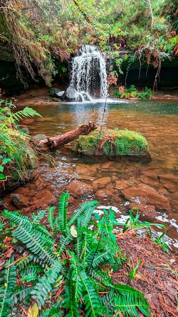 Harmonisierung mit der Jahreszeit Eine faszinierende Herbstlandschaft entlang des Flusses Duero Soria