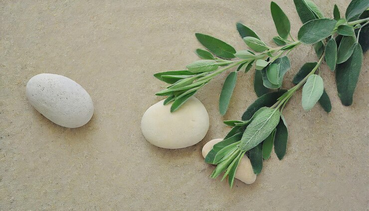 Foto harmony natural sage twig e pebble rocks em areia sereno botânico background copiar texto de espaço