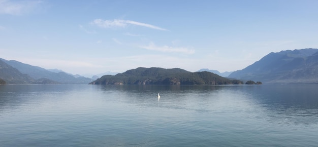 Harrison Lake während des sonnigen Sommermorgens kanadischer Naturlandschaftshintergrund