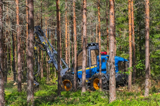 Foto harvester bei der arbeit im nadelwald