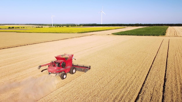 Harvester-Maschine, die im Weizenfeld-Luftbild arbeitet