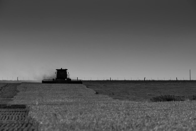 Harvester Maschine Ernte in der argentinischen Landschaft der Provinz Buenos Aires Argentinien