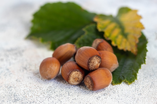 Haselnüsse auf hellem Hintergrund mit grünen Blättern. Enthält nützliche Vitamine und Mineralstoffe.