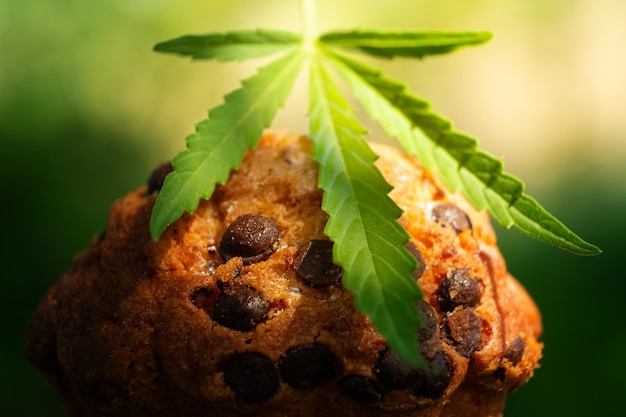 Hash butter cupcake hoja de cannabis dulce comida de marihuana closeup