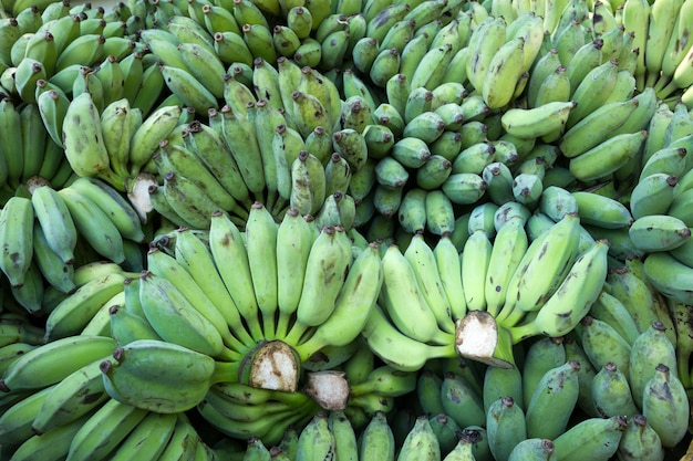 Haufen Bananen zum Verzehr.