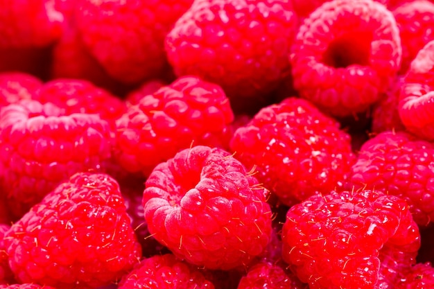 Haufen Bio-Himbeeren auf weißem Hintergrund.