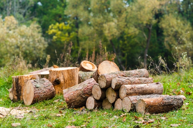 Haufen Brennholz auf dem grünen Gras. Outdoor-Aktivität, Campingkonzept