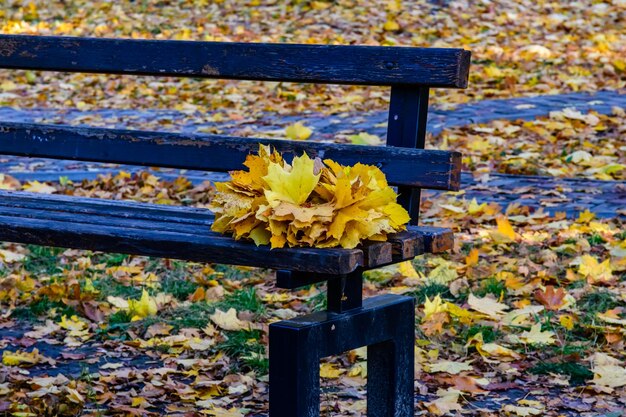 Haufen der gelben Ahornblätter auf der Bank Herbstkonzept