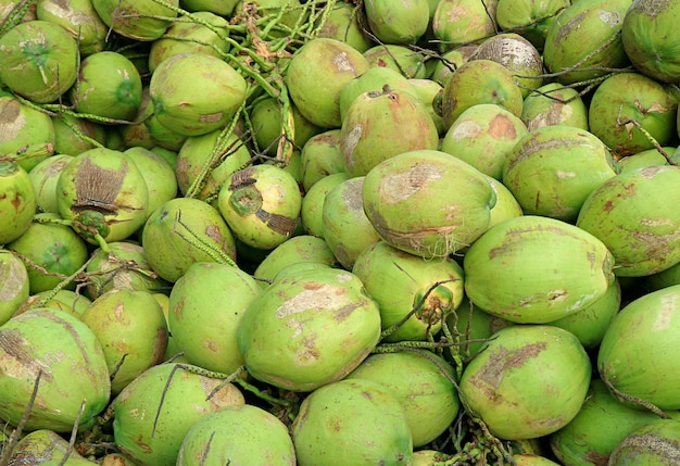 Haufen frischer junger tropischer Kokosnüsse, die für Kokosnusssaft verkauft werden