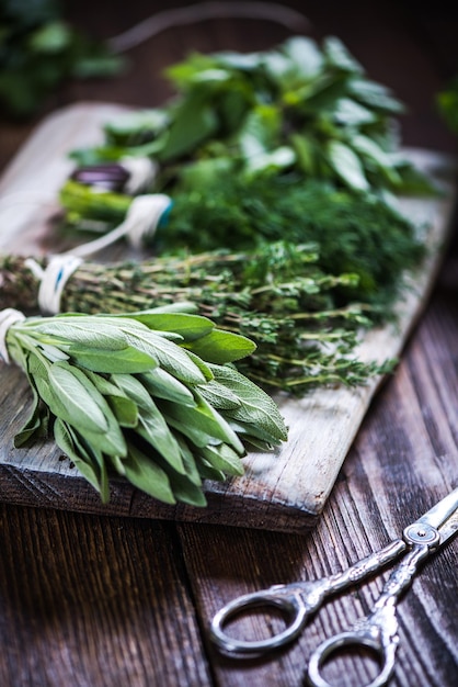 Haufen frischer Kräuter aus dem Garten