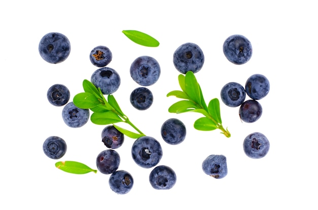 Haufen Garten süße reife Blaubeeren isoliert.