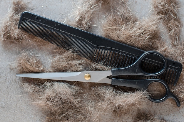 Haufen geschnittener Haare, Schere für Haarschnitte und Kamm. Werkzeuge für Haarschnitte.