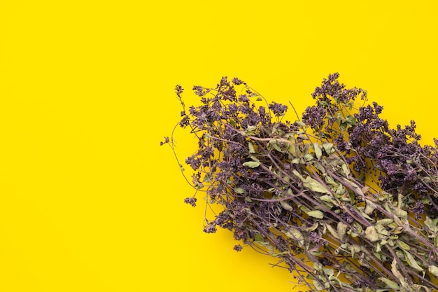 Haufen getrockneter Oregano-Blüten auf gelbem Hintergrund.