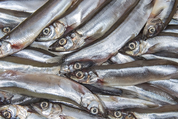 Haufen kleiner Seefischkapelin