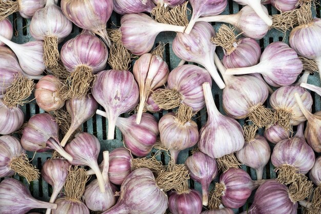 Haufen Knoblauch in Plastikkiste