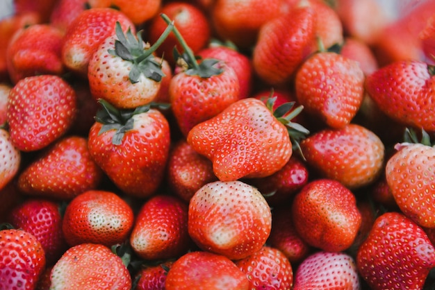 Haufen reifer Erdbeeren zum Verkauf auf dem Markt Obst. frische Erdbeeren geerntet