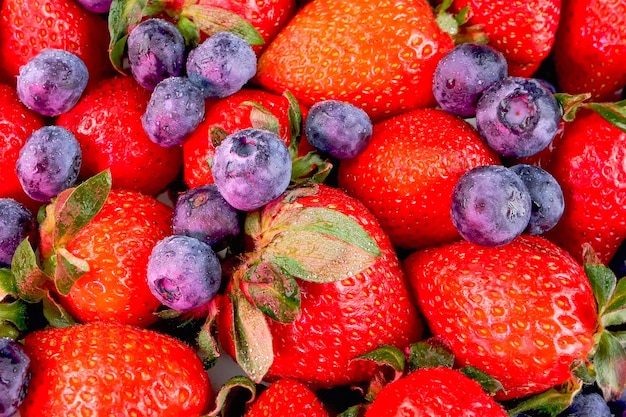 Haufen saftiger reifer Erdbeeren und Heidelbeeren Beeren Sommer gesunde vegetarische und vegane Kost