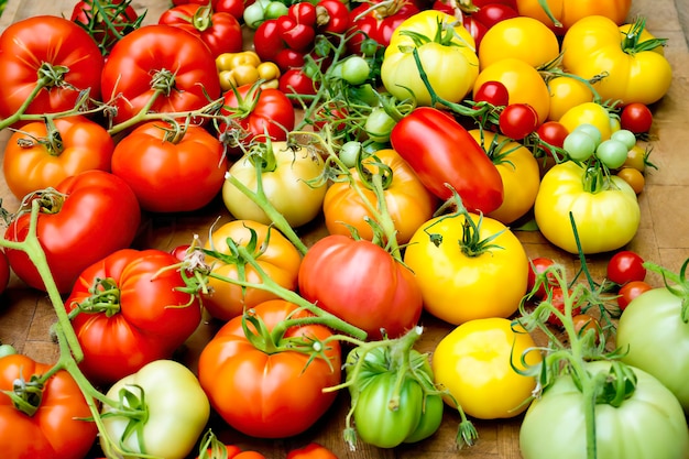 Haufen verschiedener Tomatensorten, Ansicht von oben