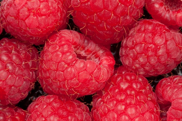 Haufen von Himbeeren