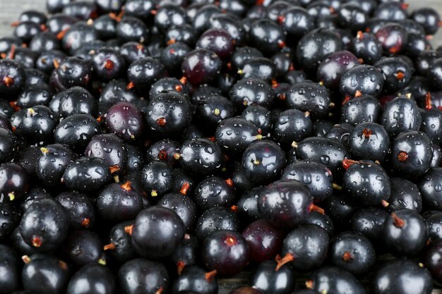 Foto haufen wilder schwarzer johannisbeeren aus nächster nähe