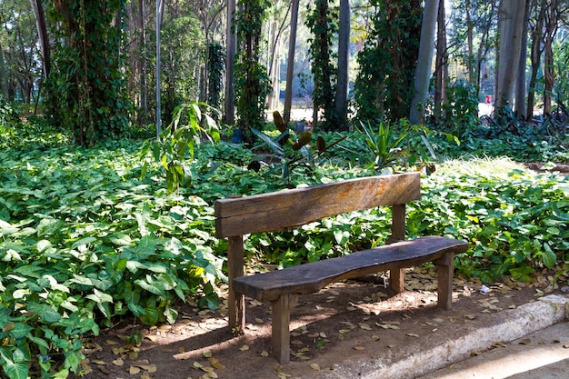 Haupteingang zum berühmten Piqueri Park in Tatuap