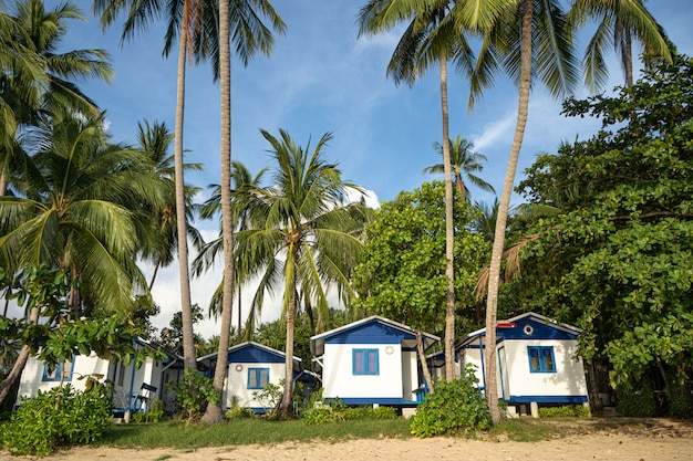 Haus am Strand in der Nähe von Palmen mit Blick auf den Sandstrand