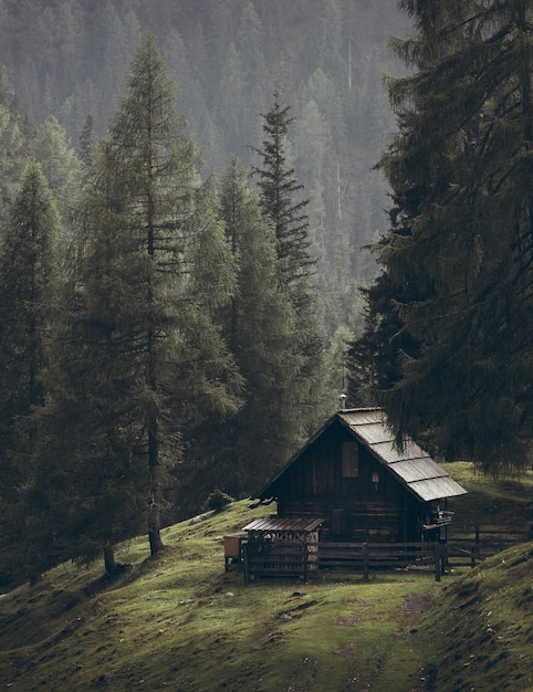 Haus auf dem Berg im Wald