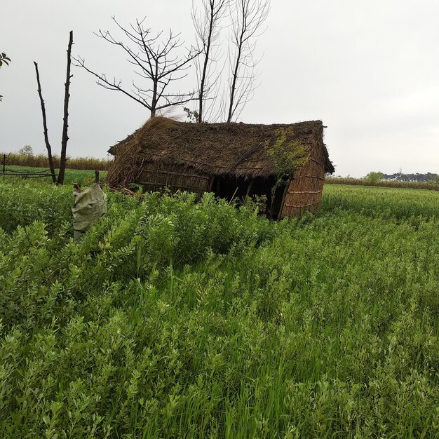 Foto haus auf dem feld gegen den himmel