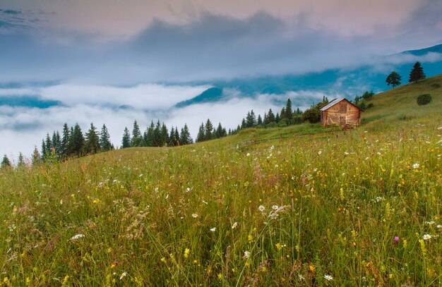 Haus auf dem Hügel, Nebel