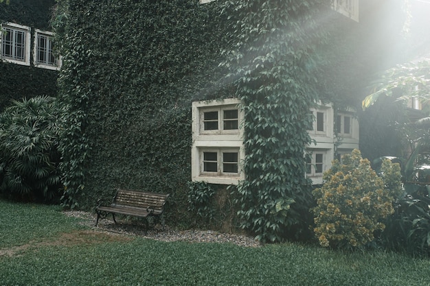 Haus bedeckt mit grüner Efeu-Naturoberfläche