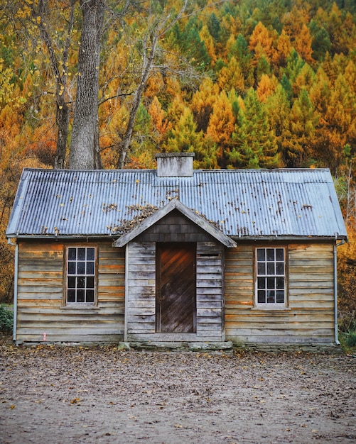 Haus bei Bäumen im Wald im Herbst