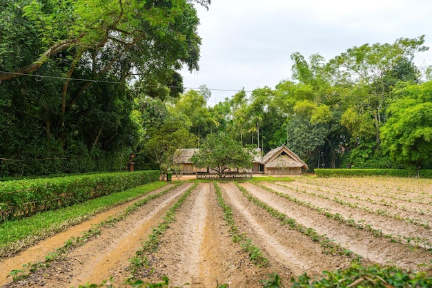 Foto haus des präsidenten ho chi minh, kim lien reliktgebiet, heimatstadt von onkel hos, bezirk nam dan, nghe an, vietnam