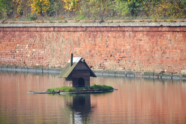 Haus für Wasservögel schwimmt mittleren See