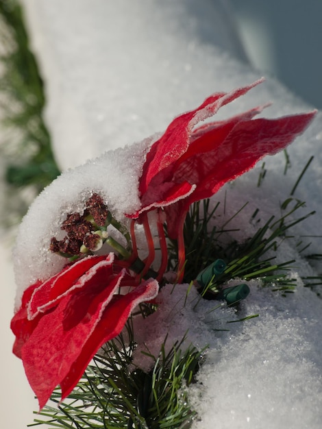 Haus für Winterferien eingerichtet.