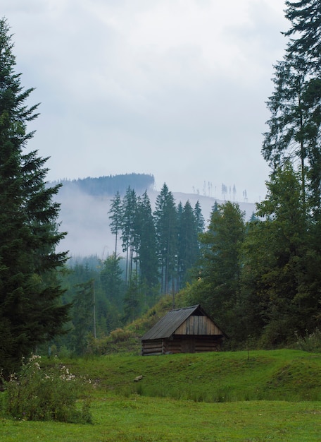 Haus in den Bergen in einem Tannenwald