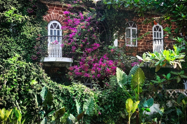 Haus in Goa