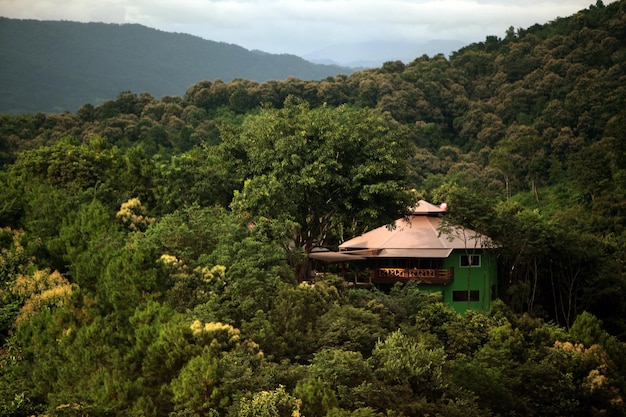 Haus inmitten von Bäumen auf dem Berg