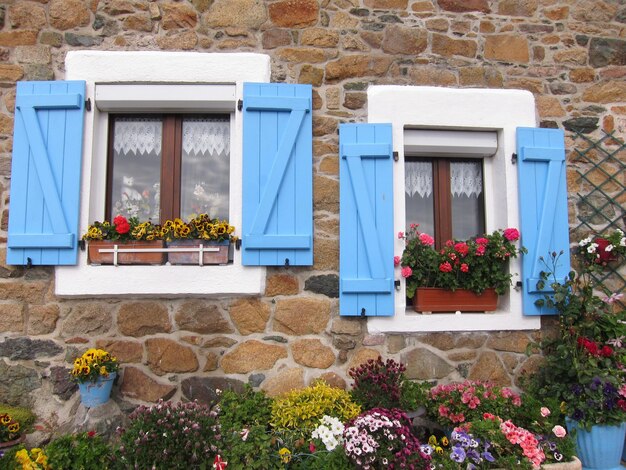 Haus mit blauen Fensterläden in der Bretagne