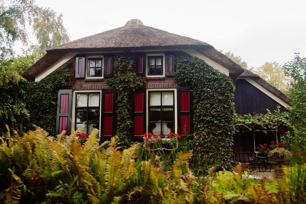 Foto hausbau vor klarem himmel