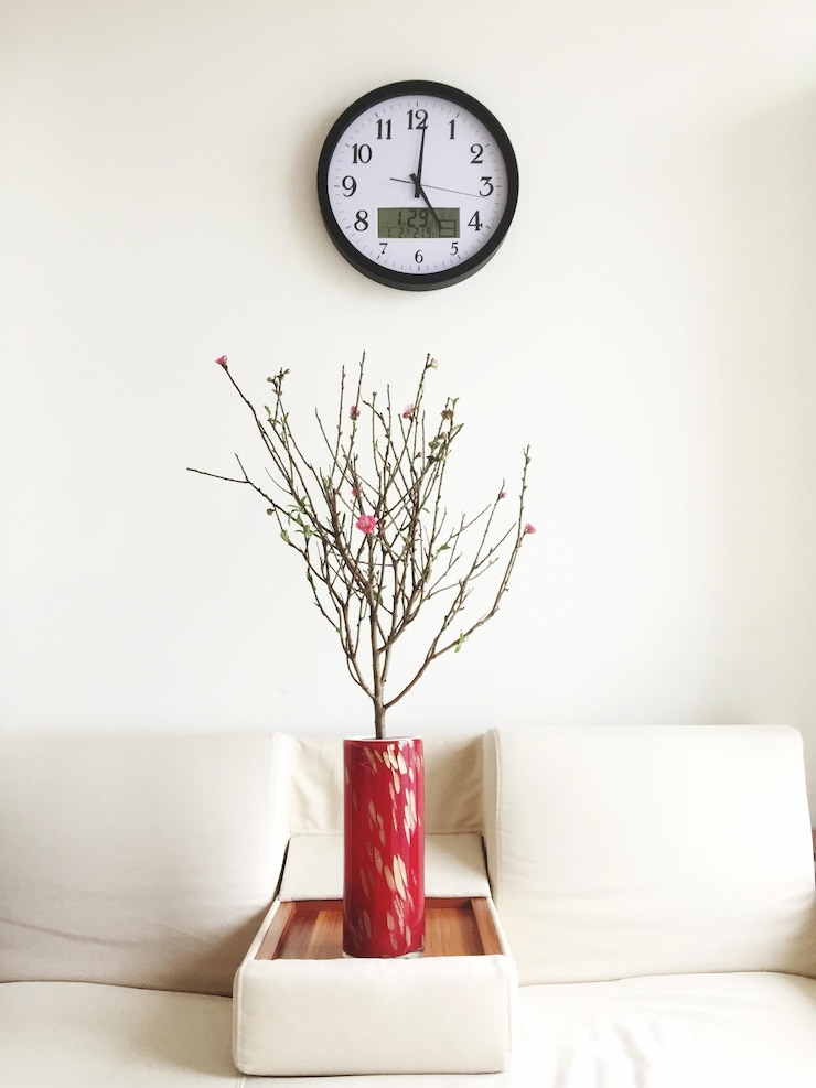 Foto hausdekoration mit topfpflanze und wanduhr