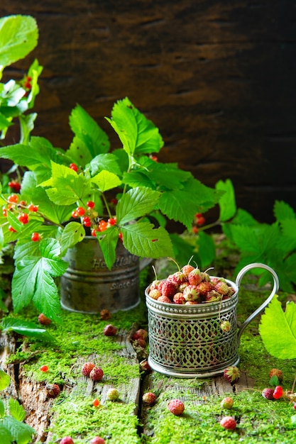 Hausgarten-Konzept. Knochen- und Erdbeerbeeren auf altem hölzernem Hintergrund mit Moos