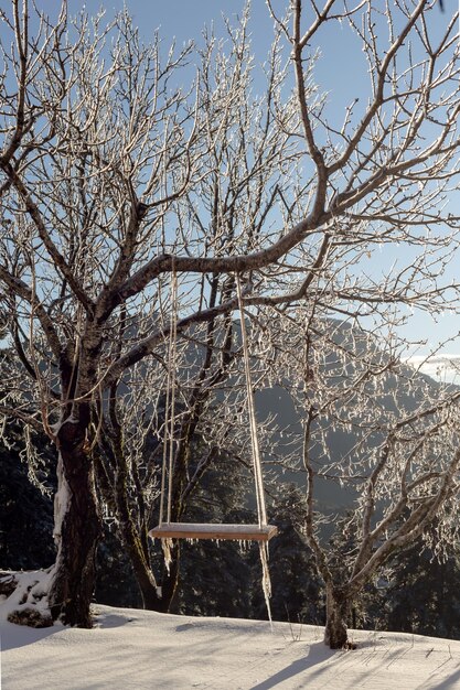 Hausgemachte Schaukel, die im Winter bei Sonnenuntergang des Tages an einem eisigen Baum hängt