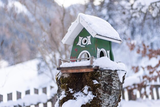 Foto hausgemachter grüner holzvögelfütterer im winter unter verschwommenem schnee-hintergrund